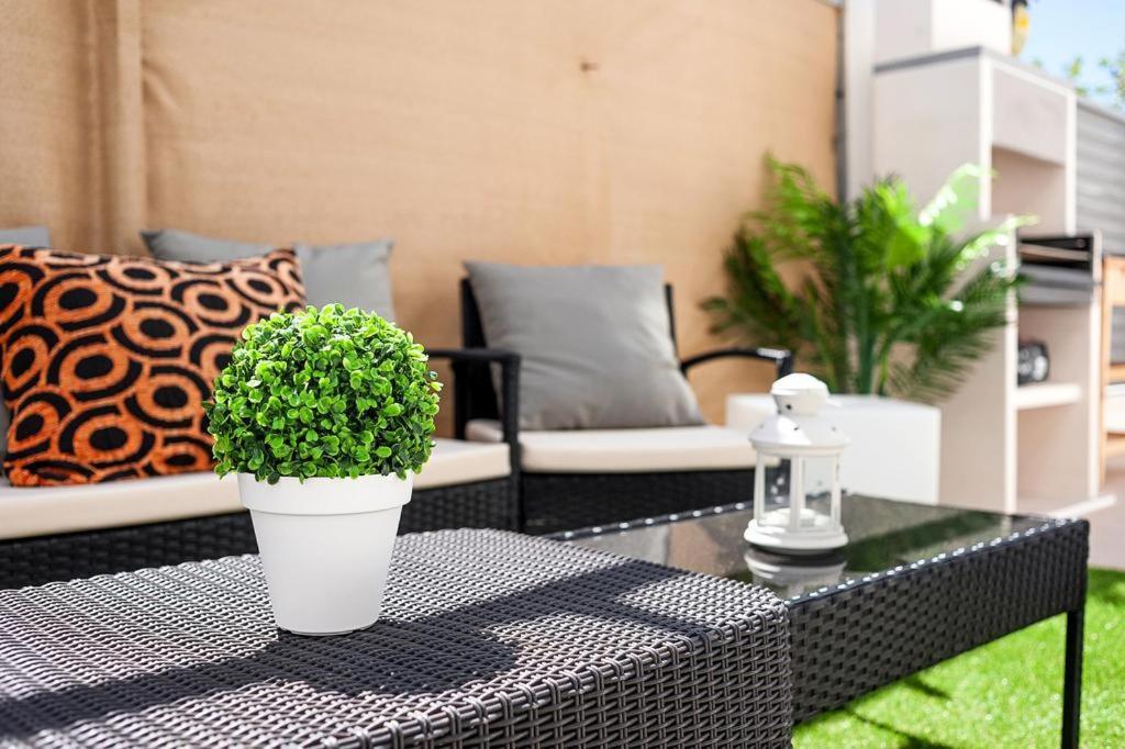 Casa Terraza Lägenhet Conil De La Frontera Exteriör bild